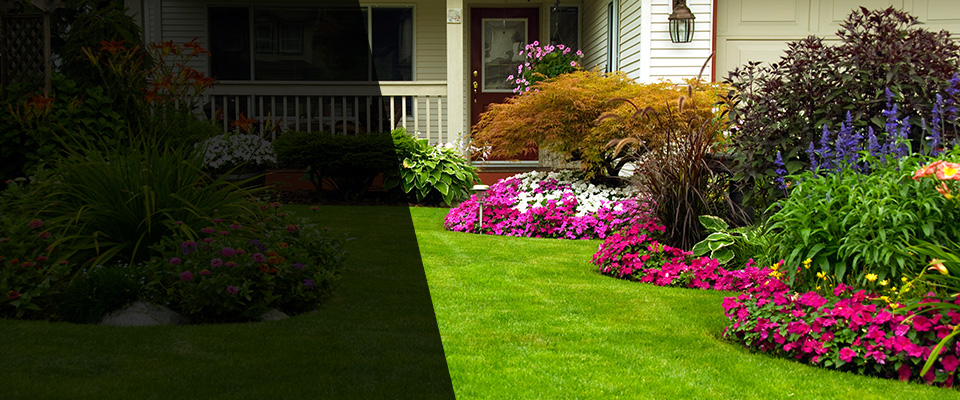Wadesboro Landscapers